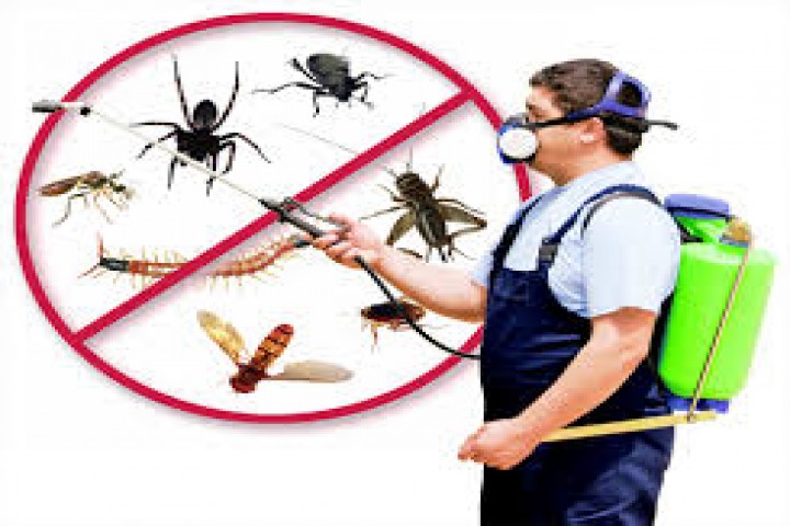 Pest control products, sucking pest control products, insect and pest control products